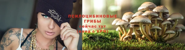 спайс Абаза
