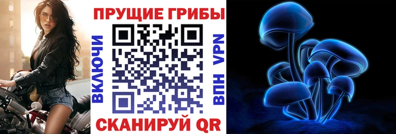 Псилоцибиновые грибы мицелий  Мосальск 